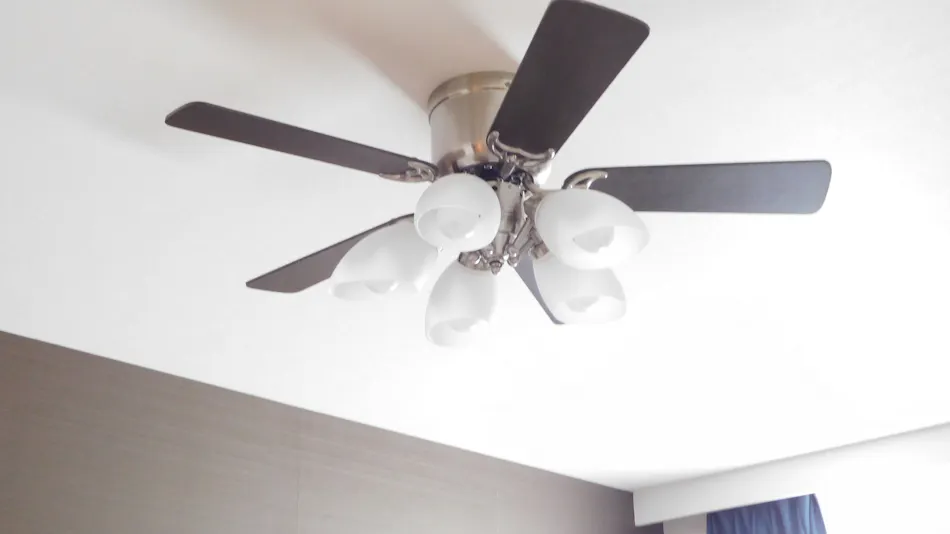 Henn na Hotel Laguna Ten Bosch