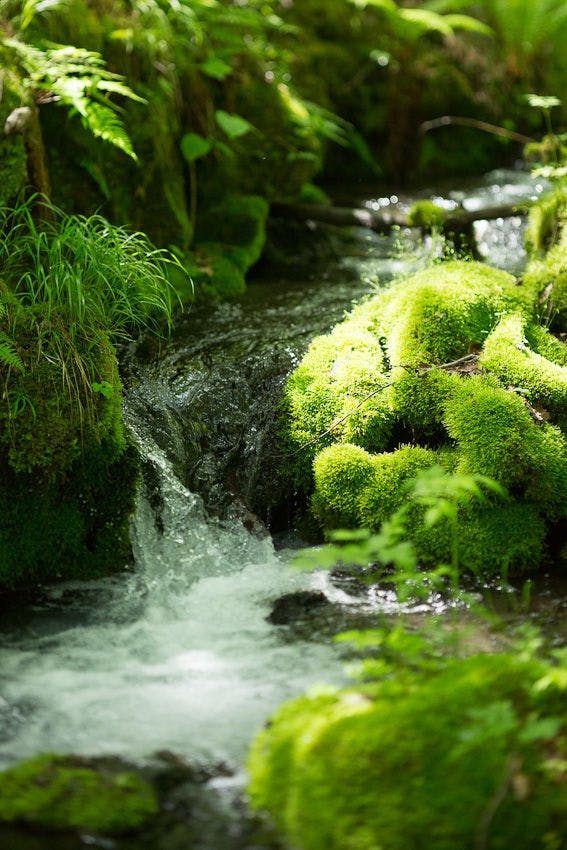 압도적인 대자연을 만끽할 수 있는 정원입니다.
