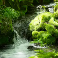 압도적인 대자연을 만끽할 수 있는 정원입니다.