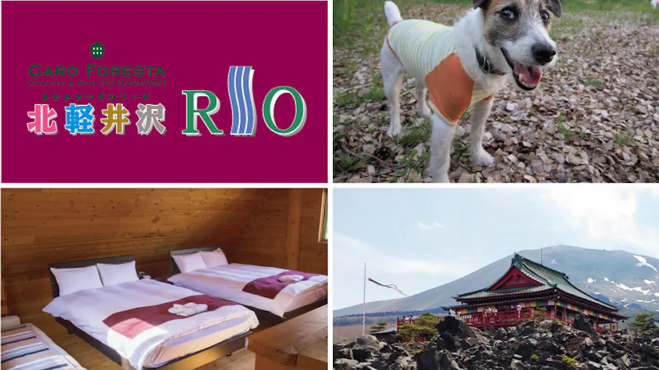 Pet-Friendly Accommodation CARO FORESTA Kita-Karuizawa RIO