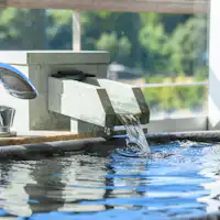 Kamar dengan Pemandian Air Panas Pribadi