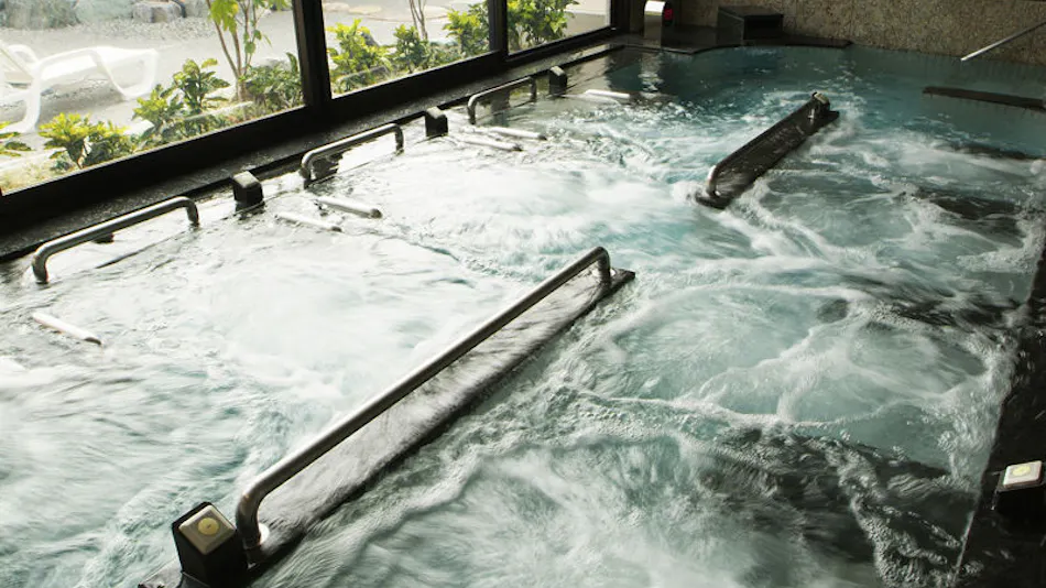 Natural Hot Spring Inn Kotoyu