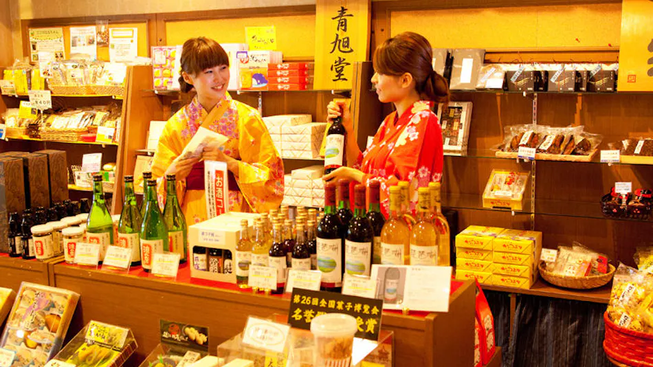 Natural Hot Spring Inn Kotoyu