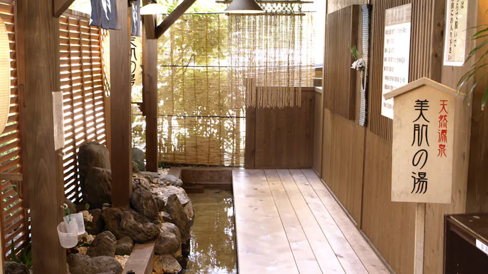 Natural Hot Spring Inn Kotoyu
