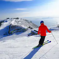 Enjoy the breathtaking view overlooking the majestic Lake Biwa.