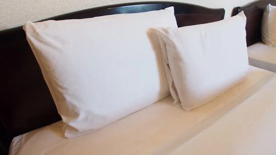 Hotel Honjo