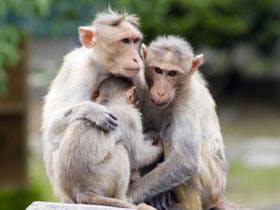 ＣＯＣＯＬＡＮＤ　山口・宇部