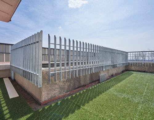 テラスわんちゃんと遊べます。