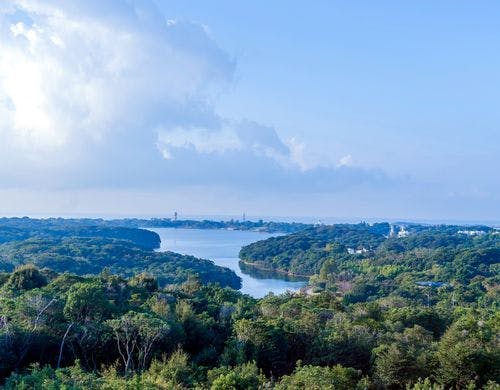 客室からの風景