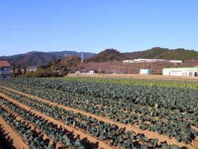 ホテルセレクト愛媛愛南町