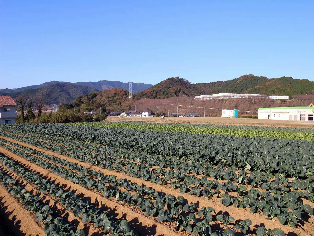 Hotel Select Ehime Ainan Town