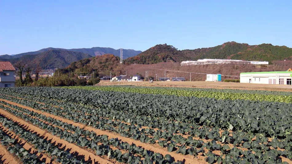 Hotel Select Ehime Ainan Town