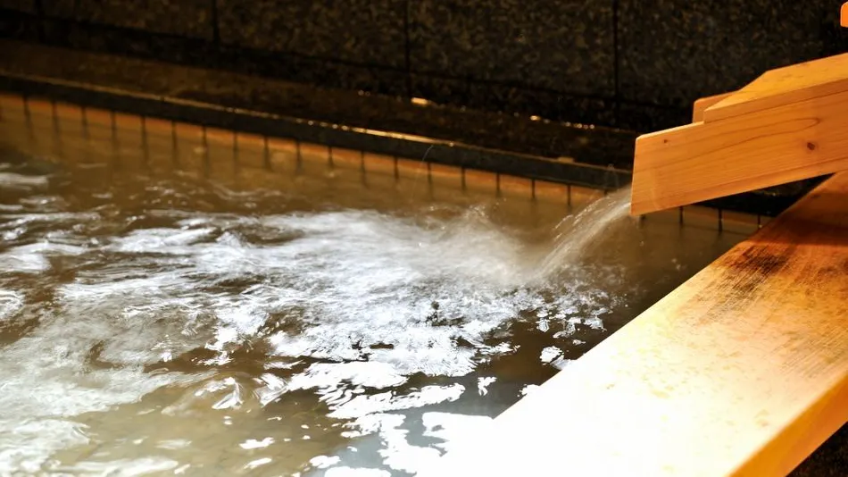 Hana Ryokan Iwatoya