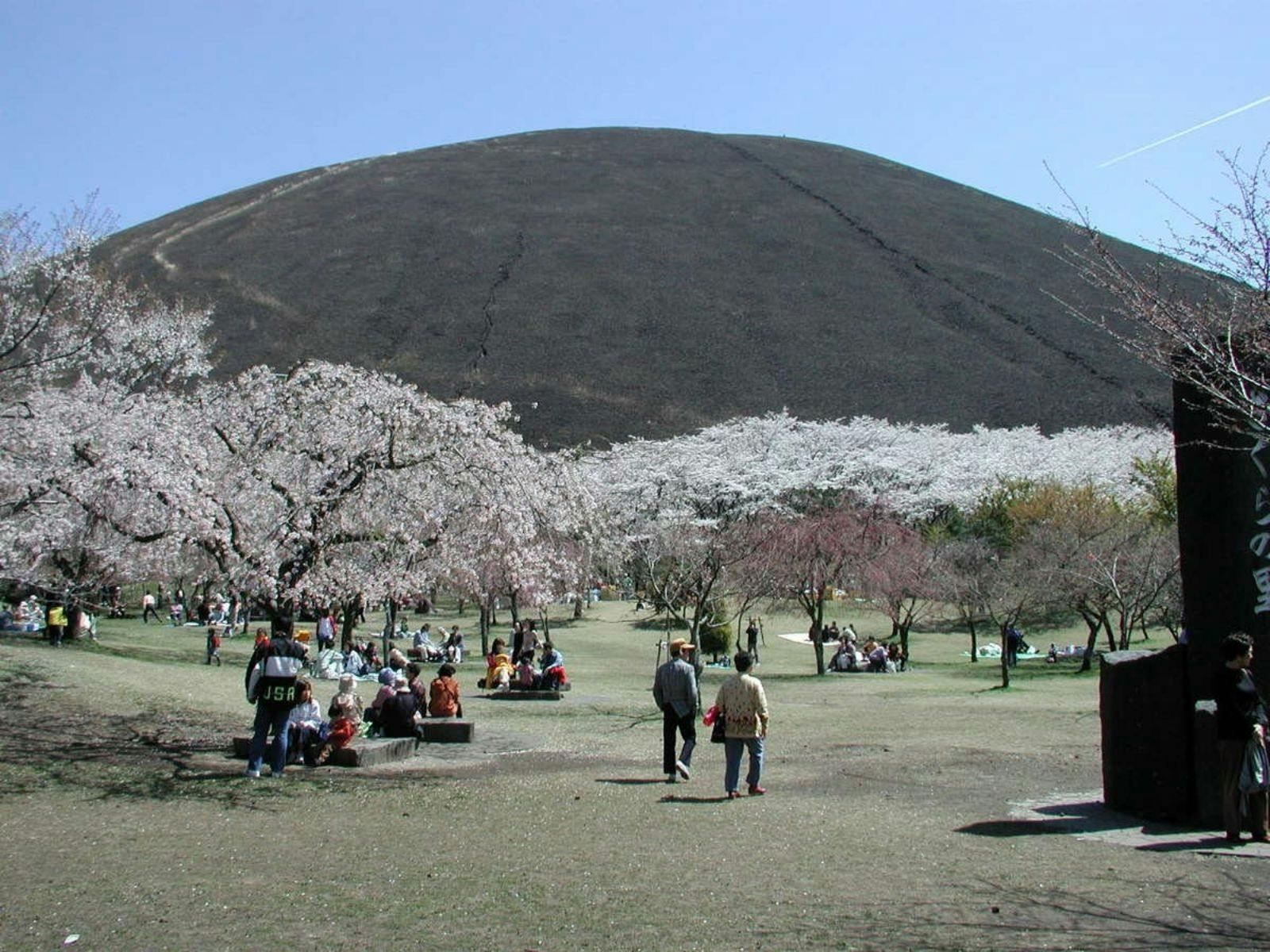 【สถานที่ท่องเที่ยวใกล้เคียง｜ซากุระโนะซาโตะ】