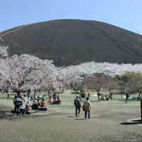【สถานที่ท่องเที่ยวใกล้เคียง|ซากุระโนะซาโตะ】