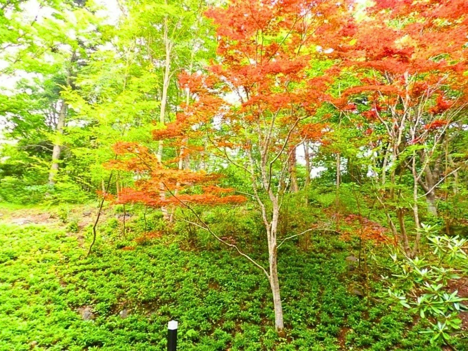 Izu Kogen Hotel Five Stars