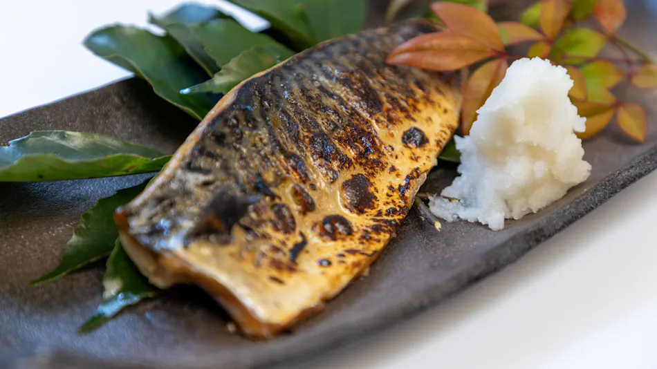 Yoro Onsen Yusen no Sato Hotel Nadeshiko