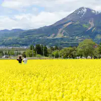 สวนสมุนไพรอินาวาชิโระ