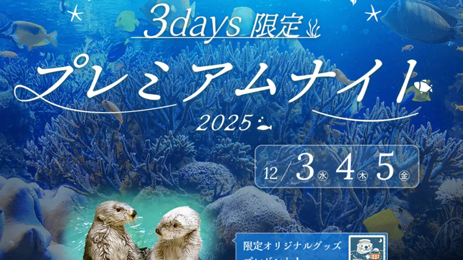 Arashima Onsen Yumoto Ama no Shima