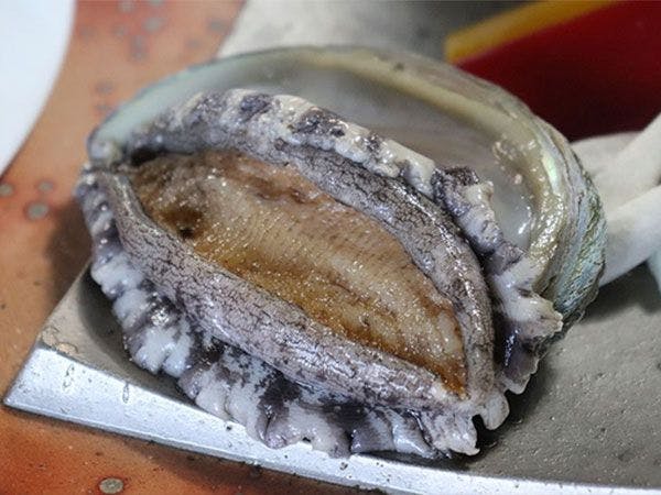Arashima Onsen Yumoto Ama no Shima