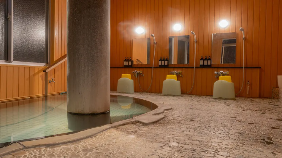Relaxing In-Room Dining and Free-Flowing Hot Springs Inn Yudanaka Onsen Yasushirokan