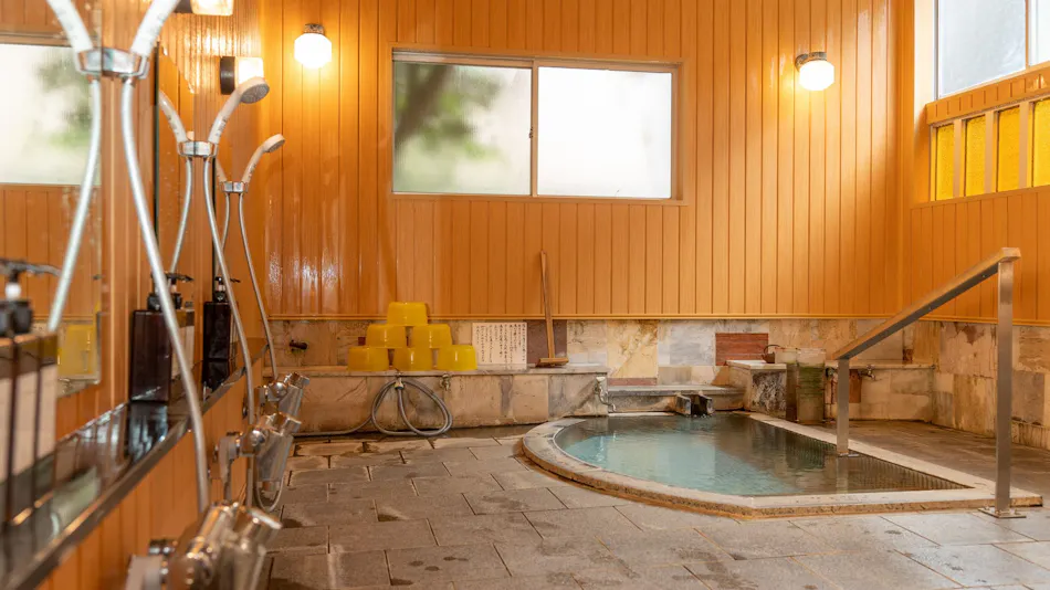 Relaxing In-Room Dining and Free-Flowing Hot Springs Inn Yudanaka Onsen Yasushirokan