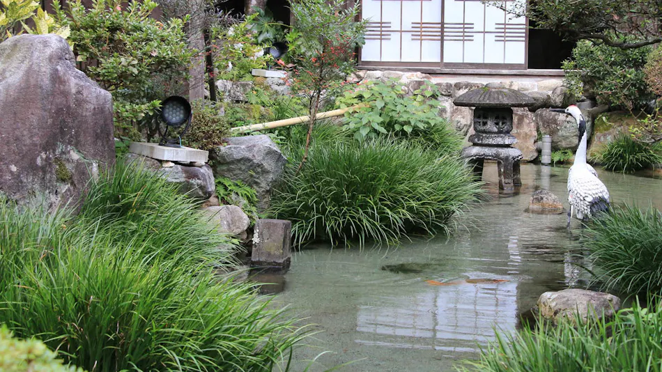 Tsuru no Ongaeshi Yomigaeri no Yado Tsurureisen