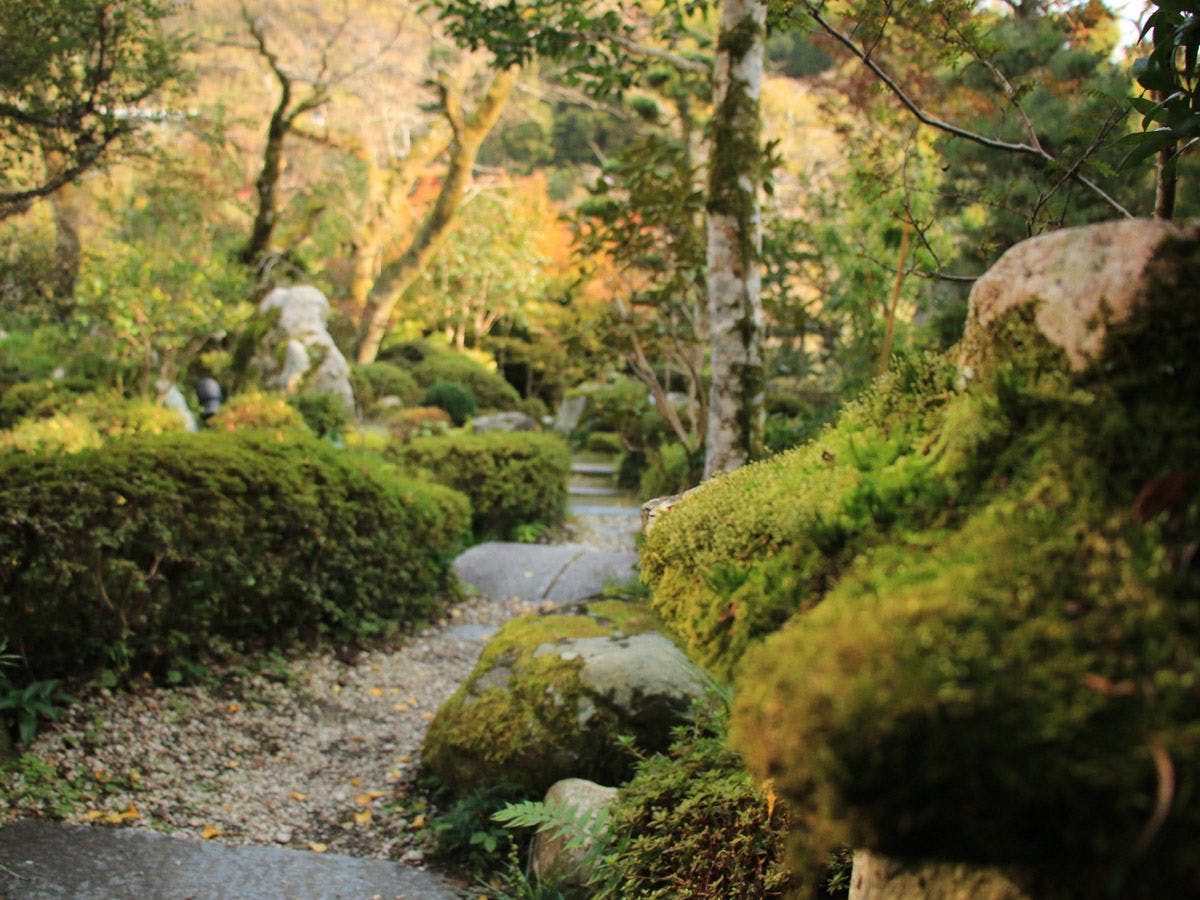 Tsuru no Ongaeshi Yomigaeri no Yado Tsurureisen