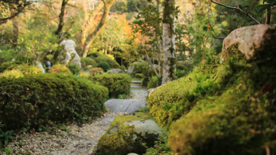 Tsuru no Ongaeshi Yomigaeri no Yado Tsurureisen