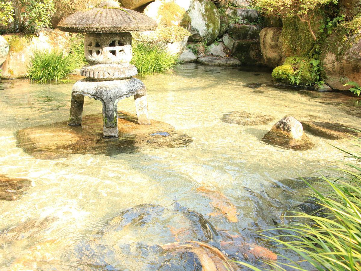 Tsuru no Ongaeshi Yomigaeri no Yado Tsurureisen