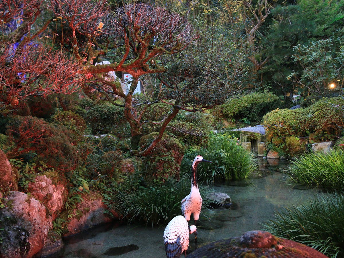 Tsuru no Ongaeshi Yomigaeri no Yado Tsurureisen