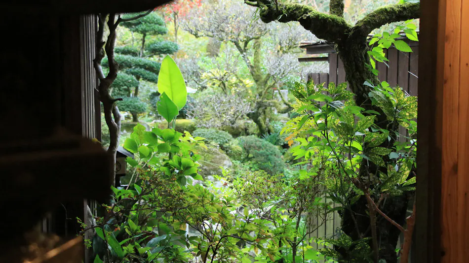Tsuru no Ongaeshi Yomigaeri no Yado Tsurureisen