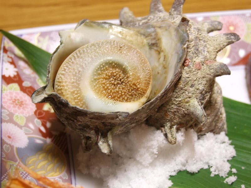 Sun Palace Matsuzaka
