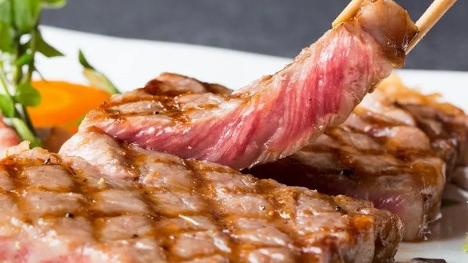 Kinosaki Onsen Tajima Beef Specialty Inn Koyado En