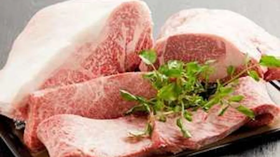 Kinosaki Onsen Tajima Beef Specialty Inn Koyado En