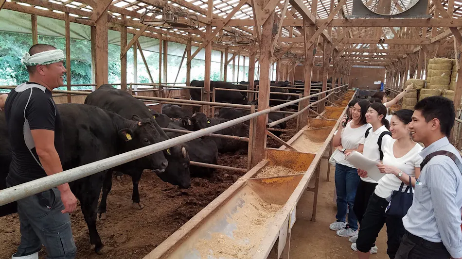 Kinosaki Onsen Tajima Beef Specialty Inn Koyado En