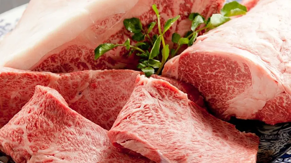 Kinosaki Onsen Tajima Beef Specialty Inn Koyado En