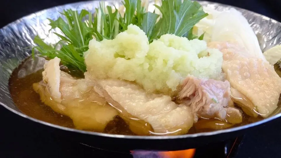 Onsen Inn Tsukagoshiya Shichibee