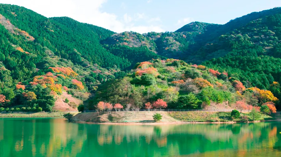 Chikuen Ryokan