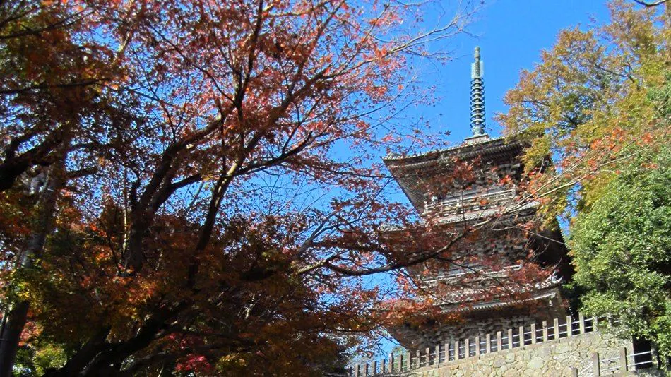 Shoukin-kan