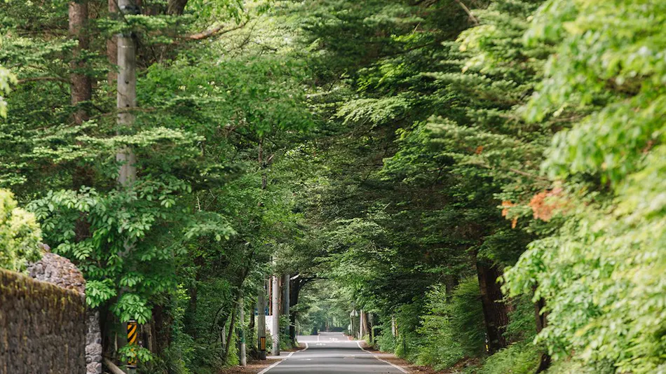 Old Karuizawa Hotel Shinonome