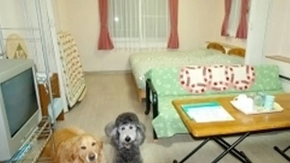 Pet-Friendly Accommodation Condominium Flatlet Kusatsu