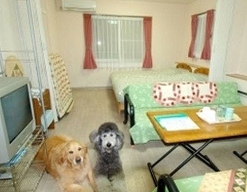 ペットと泊まれる宿 コンドミニアム フラットレット草津 宿泊予約なら Yahoo トラベル