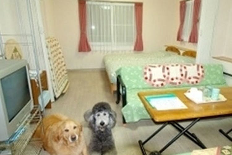 ペットと泊まれる宿 コンドミニアム フラットレット草津 宿泊予約なら Yahoo トラベル ペットと泊まれる宿 コンドミニアム フラットレット草津 宿泊予約なら Yahoo トラベル