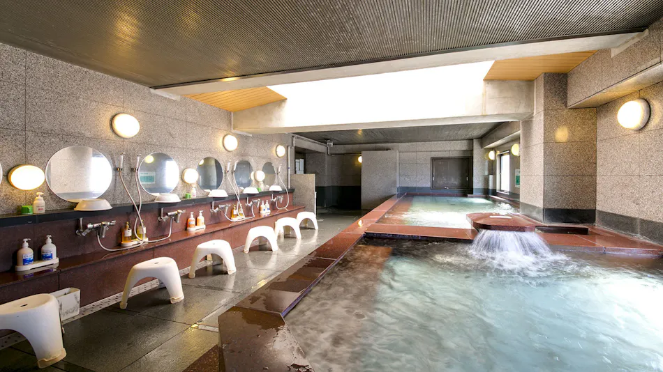 Plaza Hotel Toyota