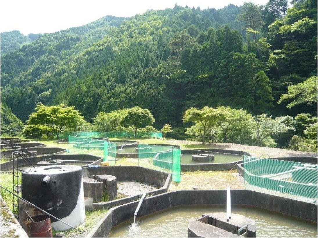 施設画像
