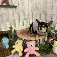 โฟโต้บูธ