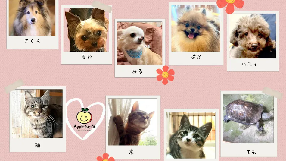 Ito Onsen Pet-Friendly Inn Apple Seed