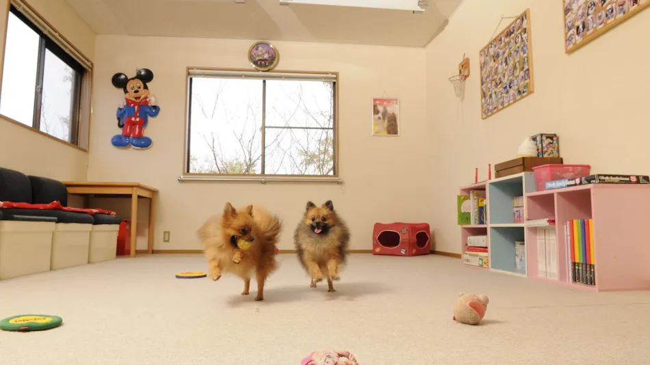 Ito Onsen Pet-Friendly Inn Apple Seed