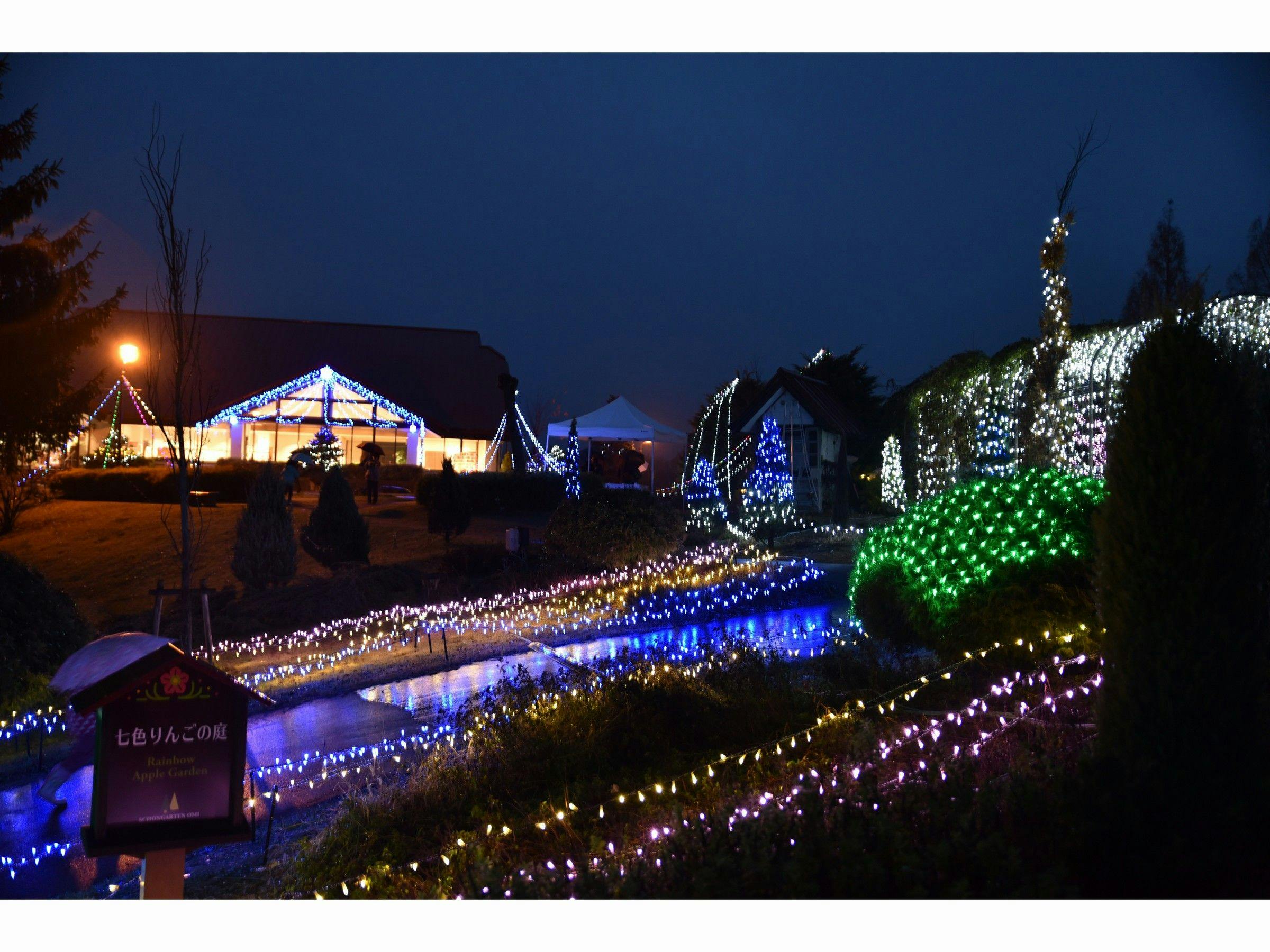 숙소 바로 앞에서 열리는 조명 축제.